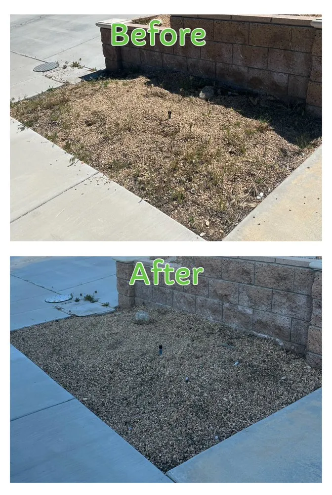 Professional landscape installation in Hesperia, CA - Low Cost Maintenance