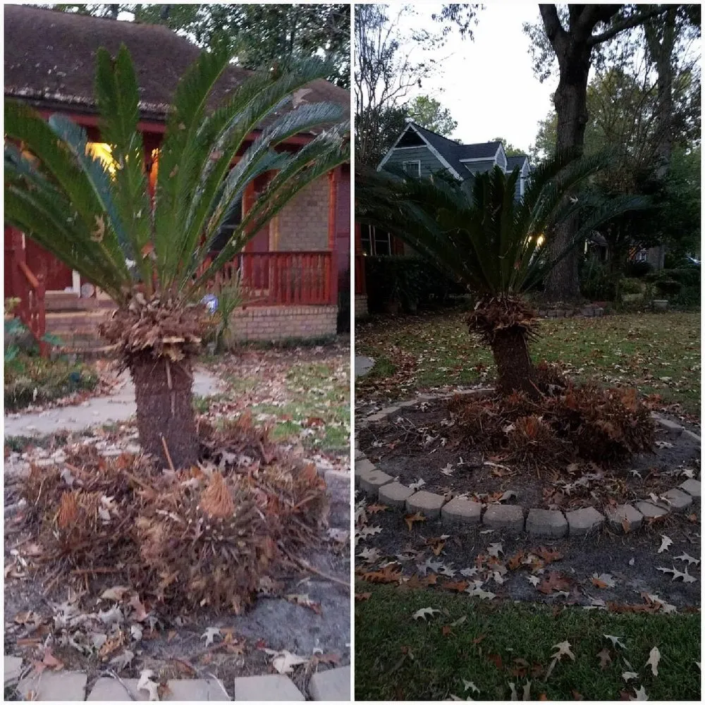 Local lawn mowing service in Johns Island, SC - Low Country Fence, Lawn & Pressure Wash