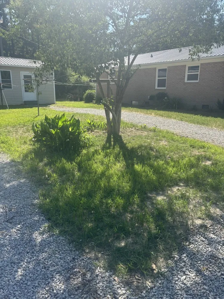 Trusted landscaping services experts serving Hartsville, SC - Low Country Hydroseeding