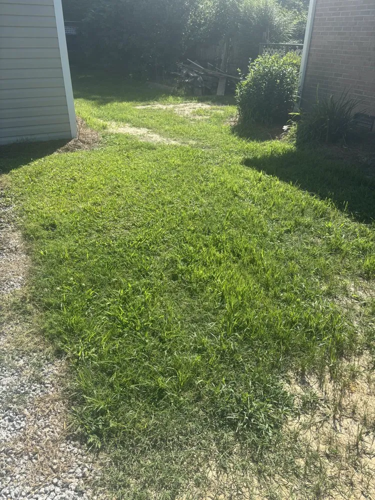 Custom lawn mowing service near you across Hartsville, SC - Low Country Hydroseeding