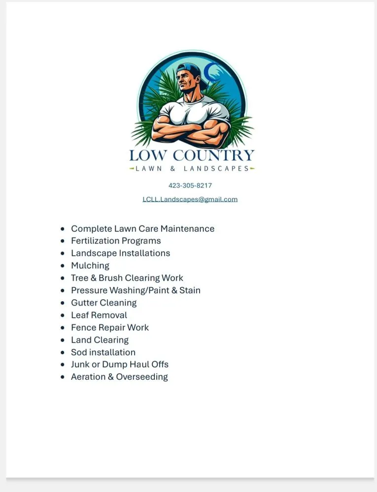 Professional lawn care service for outdoor upgrades across Ooltewah, TN - Low Country