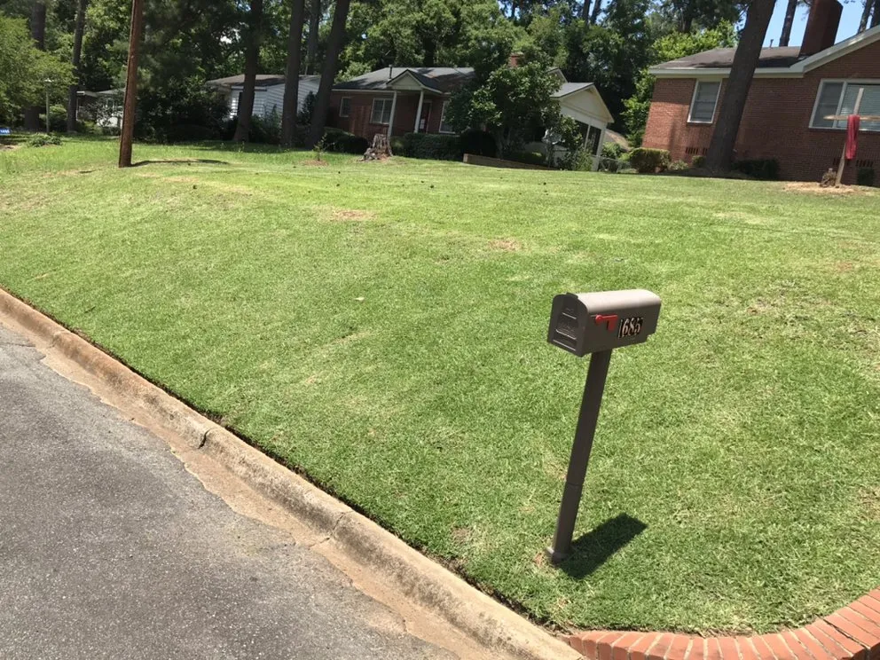 Affordable lawn care service in Macon, GA - Low Cut Landscaping