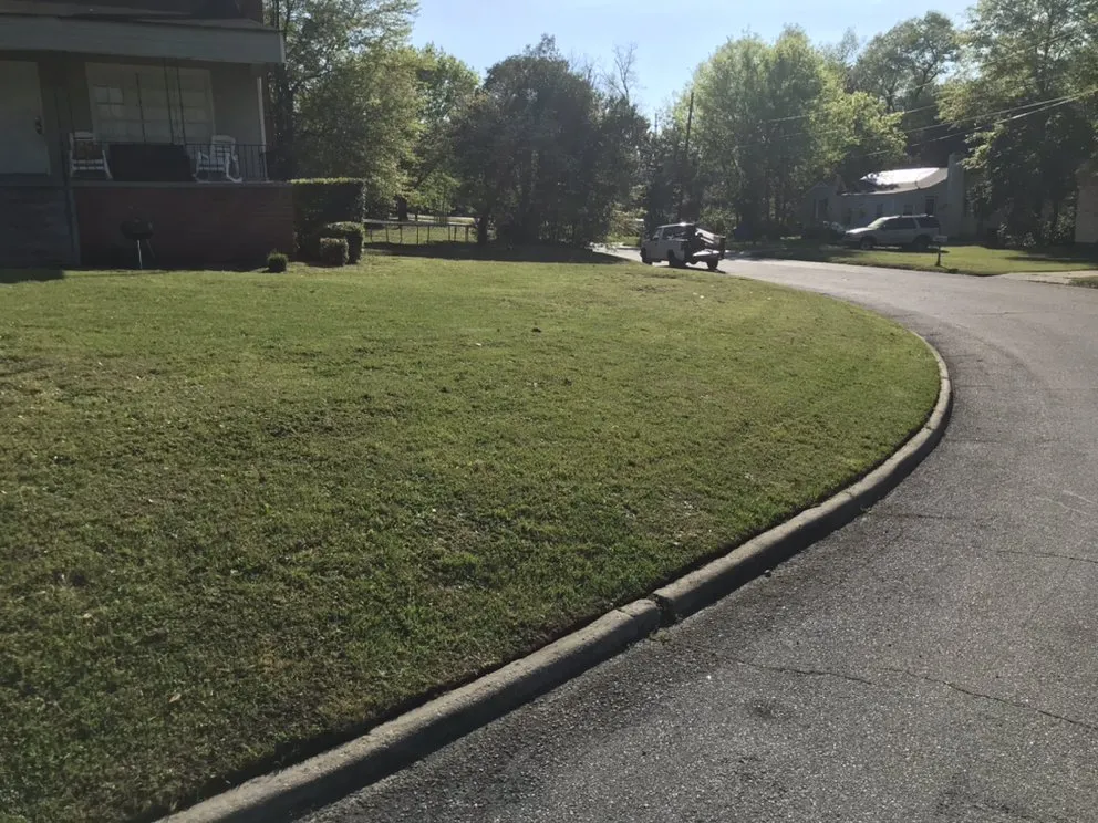 Trusted yard cleanup service experts serving Macon, GA - Low Cut Landscaping