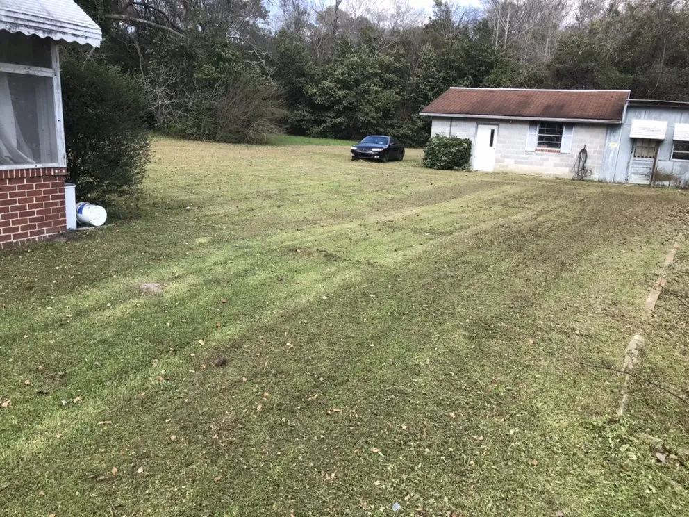 Trusted landscape design in Macon, GA - Low Cut Landscaping