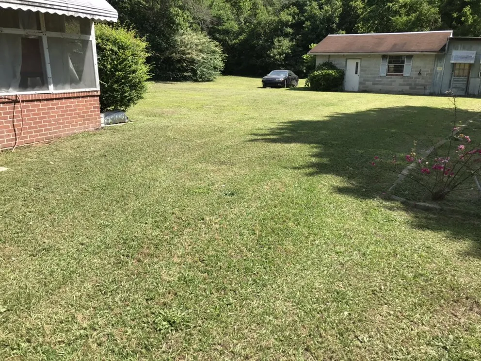 Expert yard cleanup service for year-round maintenance in Macon, GA by Low Cut Landscaping