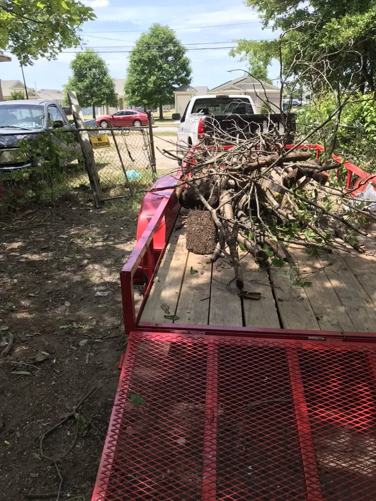 Affordable landscape installation for outdoor upgrades across Macon, GA - Low Cut Landscaping