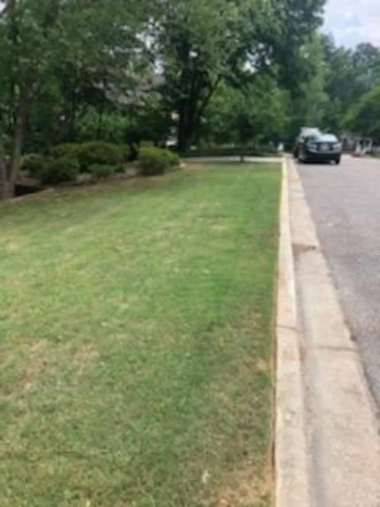 Affordable lawn mowing service experts serving Augusta, GA - Low Cut Lawn Care