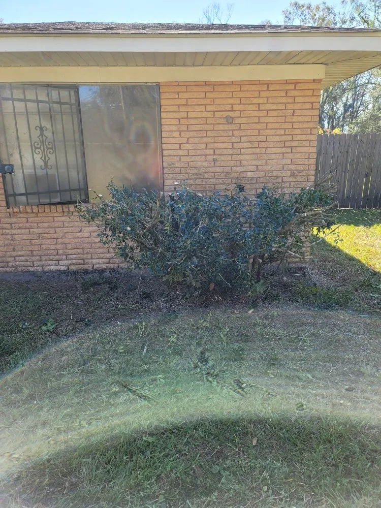 Custom landscape design for homes in Hammond, LA by Low Cuts