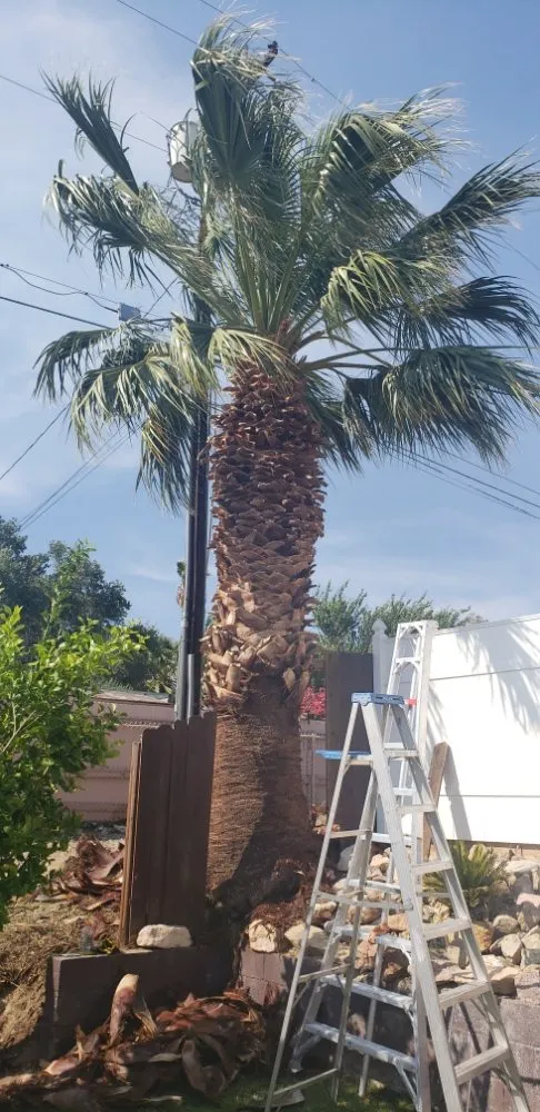 Custom lawn mowing service in Desert Hot Springs, CA by Low Desert Lawn Care