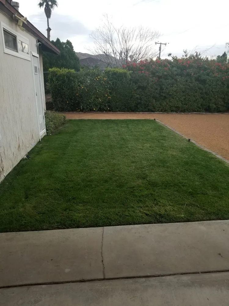 Local yard maintenance in Desert Hot Springs, CA by Low Desert Lawn Care