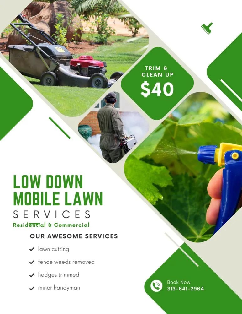 Professional residential landscaping in Ecorse, MI - Low Down Mobile Lawn Services