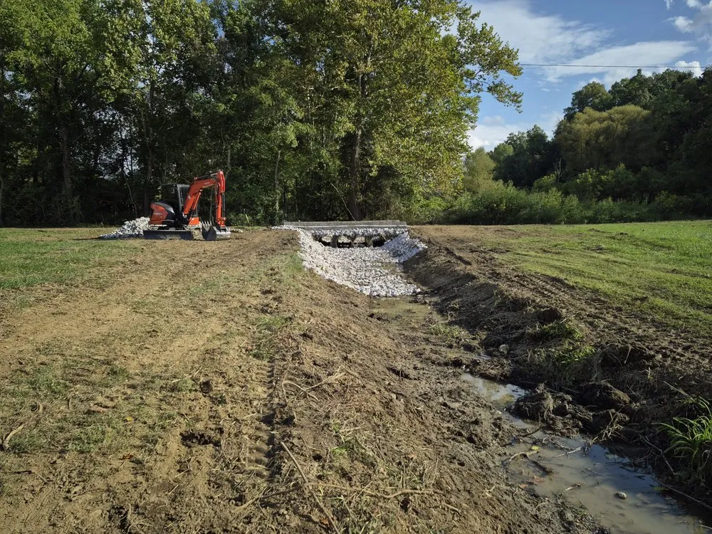 Affordable yard cleanup service in Talbott, TN - Low Impact Services