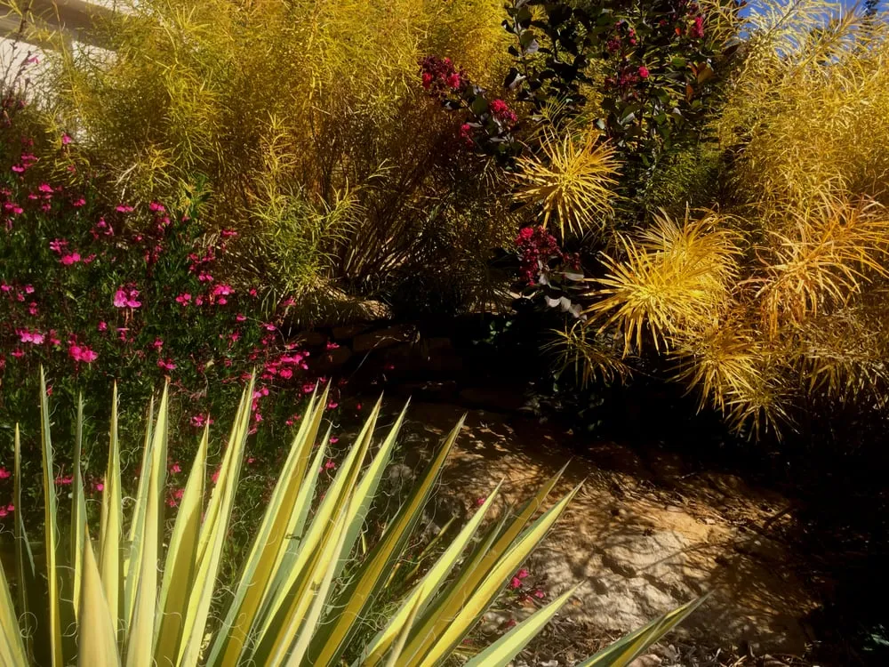 Reliable yard maintenance experts serving Lawrence, KS - Low Maintenance Landscape