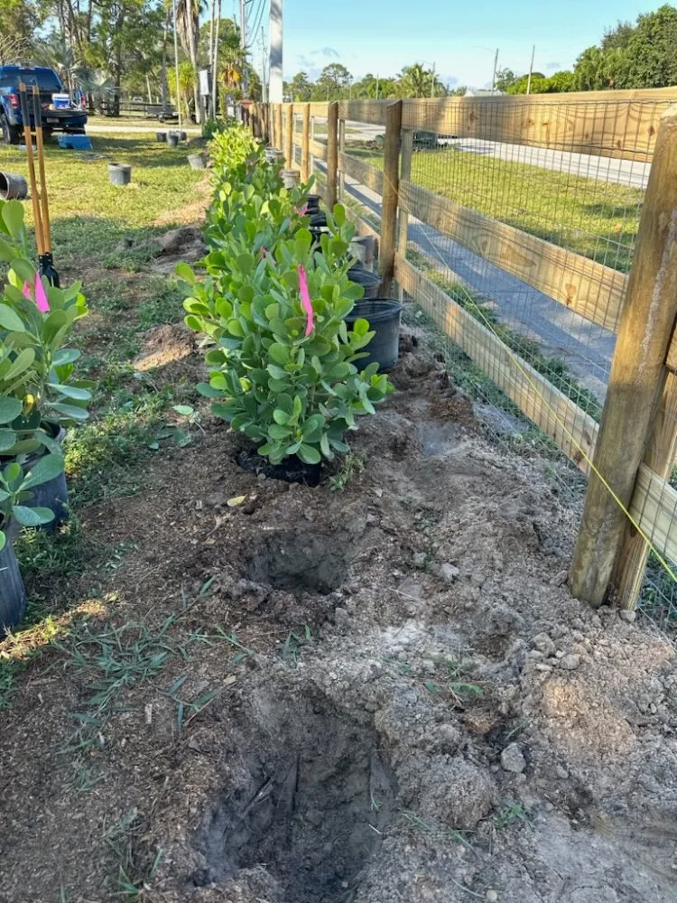 Reliable landscape installation for residential properties in Royal Palm Beach, FL by Low Mowz