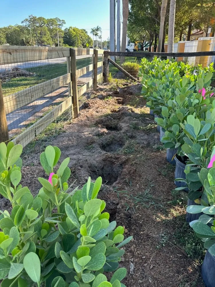 Top-rated landscape design in Royal Palm Beach, FL by Low Mowz