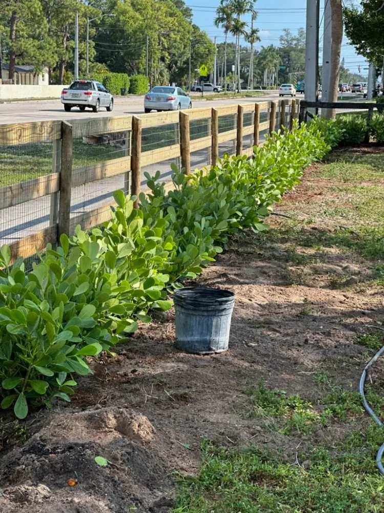 Reliable landscape installation in Royal Palm Beach, FL - Low Mowz