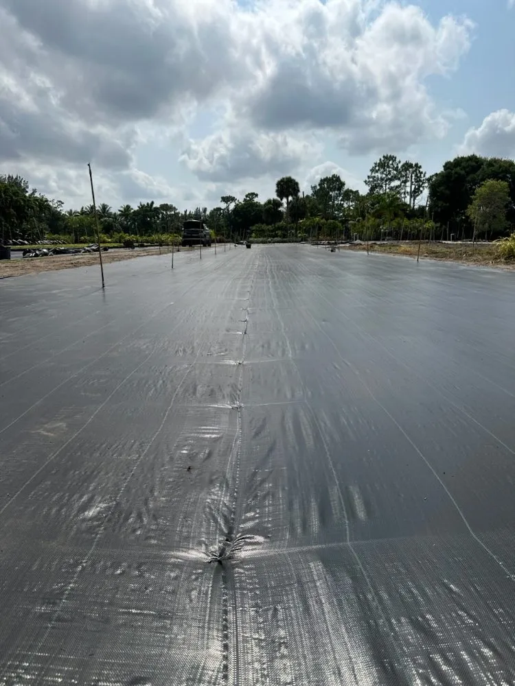 Top-rated residential landscaping in Royal Palm Beach, FL - Low Mowz