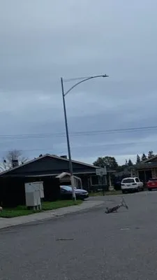 Low Price Landscaping Logo