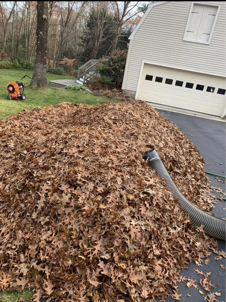 Custom lawn care service for homes in Taunton, MA by Low Price Landscaping