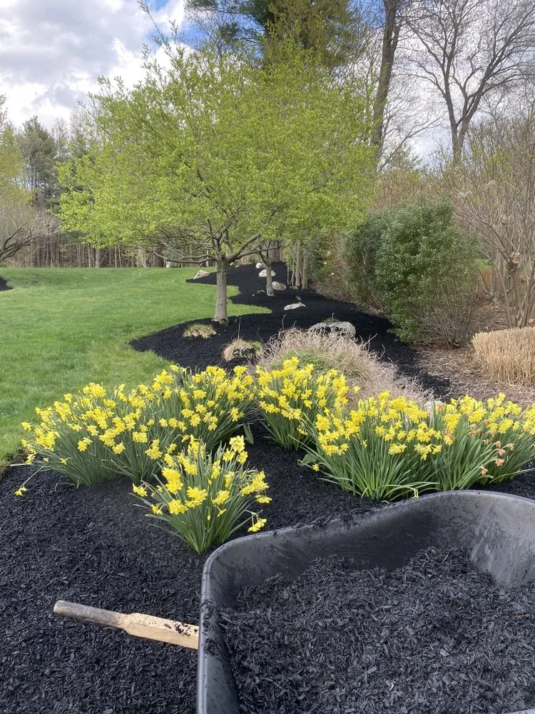 Local lawn care service with custom design in Taunton, MA by Low Price Landscaping