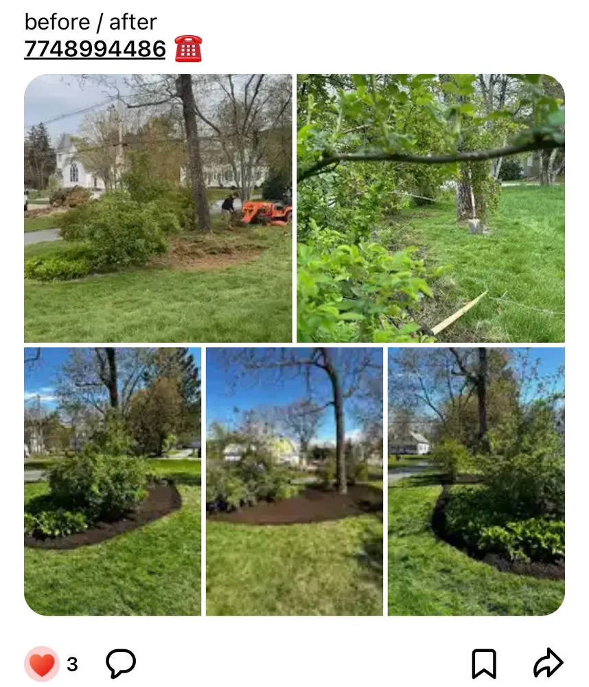 Expert landscaping services in Taunton, MA by Low Price Landscaping