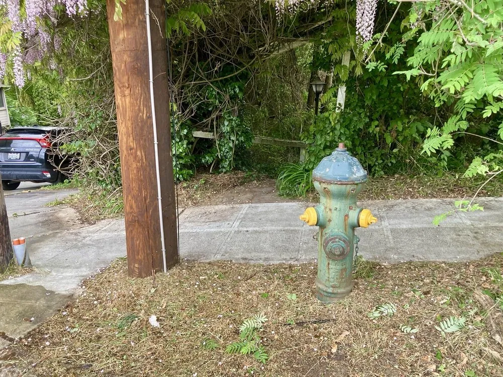 Affordable lawn care service in Seattle, WA by Low Rate Hauling & Yard Clean Up