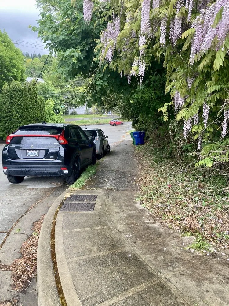 Affordable yard cleanup service experts serving Seattle, WA - Low Rate Hauling & Yard Clean Up