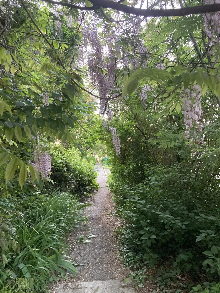 Affordable garden landscaping in Seattle, WA - Low Rate Hauling & Yard Clean Up