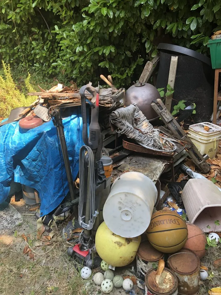 Affordable yard cleanup service for year-round maintenance across Seattle, WA - Low Rate Hauling & Yard Clean Up