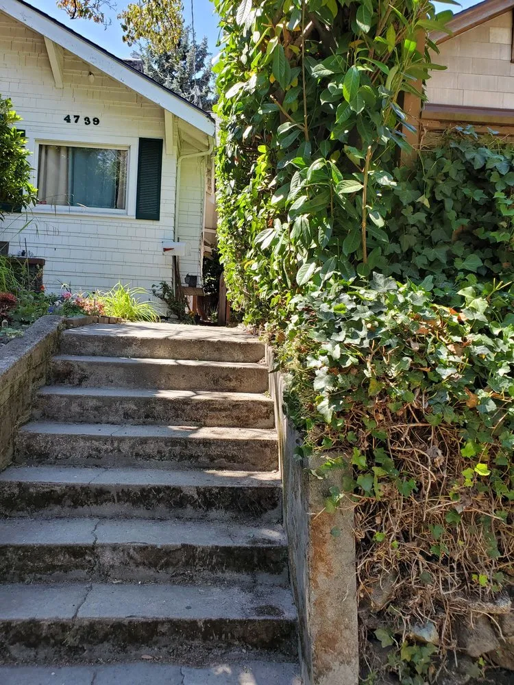 Reliable landscape design experts serving Seattle, WA - Low Rate Hauling & Yard Clean Up