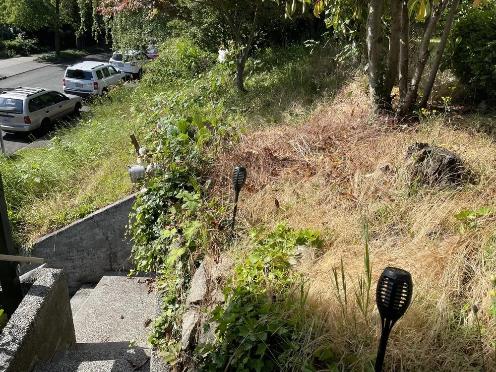 Professional lawn care service with custom design across Seattle, WA - Low Rate Hauling & Yard Clean Up