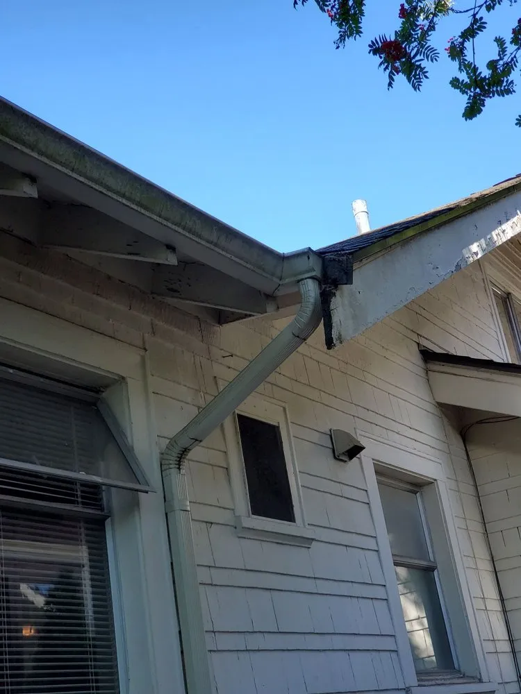 Local lawn mowing service with custom design across Seattle, WA - Low Rate Hauling & Yard Clean Up