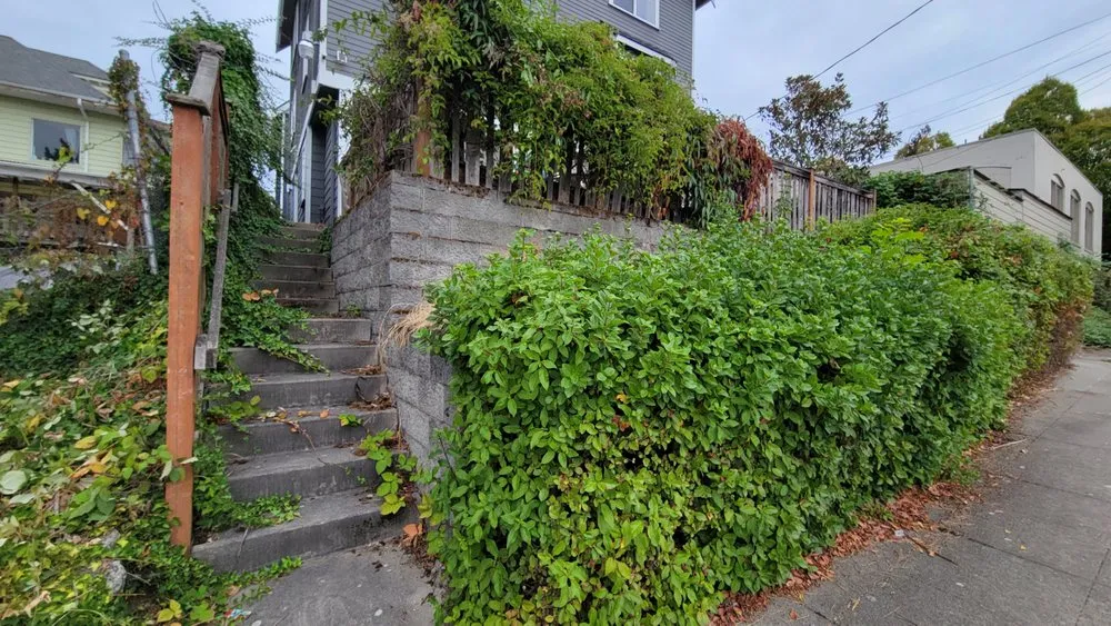 Reliable yard maintenance for residential properties in Seattle, WA by Low Rate Hauling & Yard Clean Up