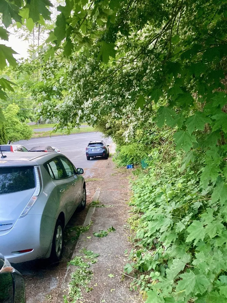 Affordable residential landscaping in Seattle, WA - Low Rate Hauling & Yard Clean Up