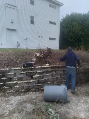 Low Rate Hauling & Yard Clean Up