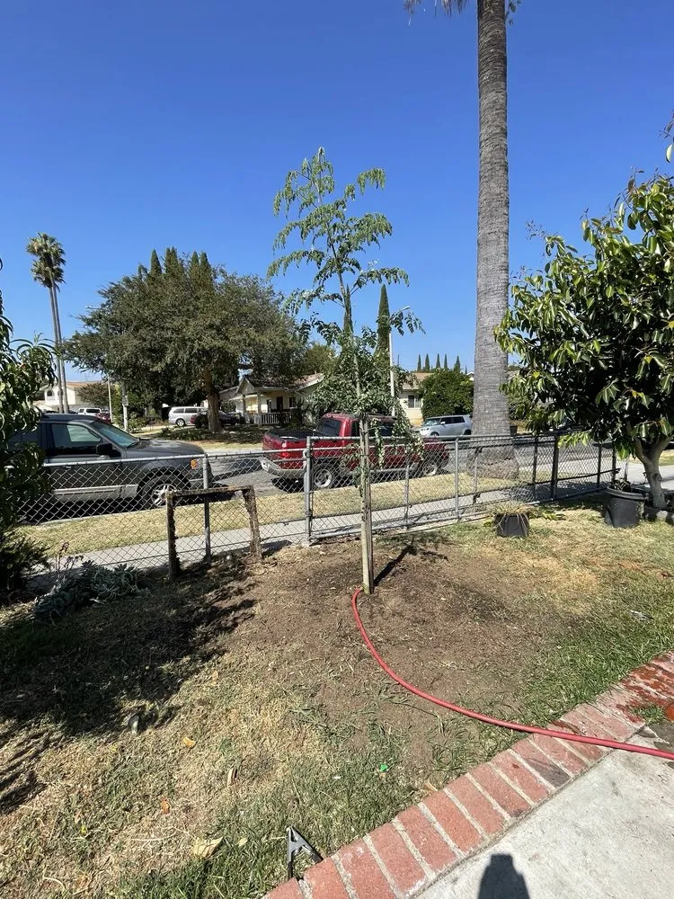 Affordable lawn care service in Covina, CA - Low Rates Professional Contractor