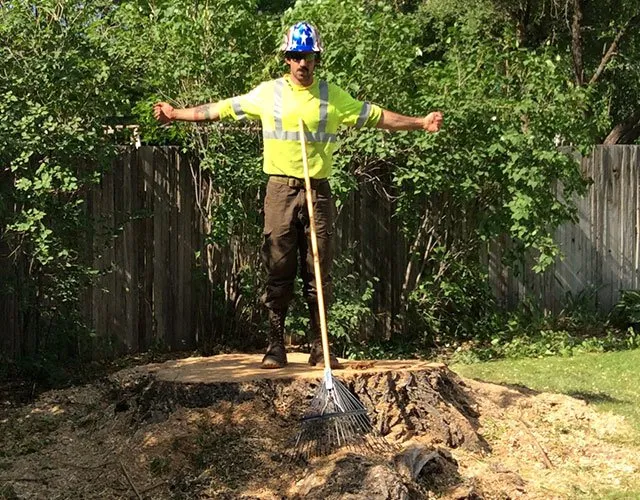 Affordable landscape design for beautiful yards across Park City, UT - Low Stump Tree Service
