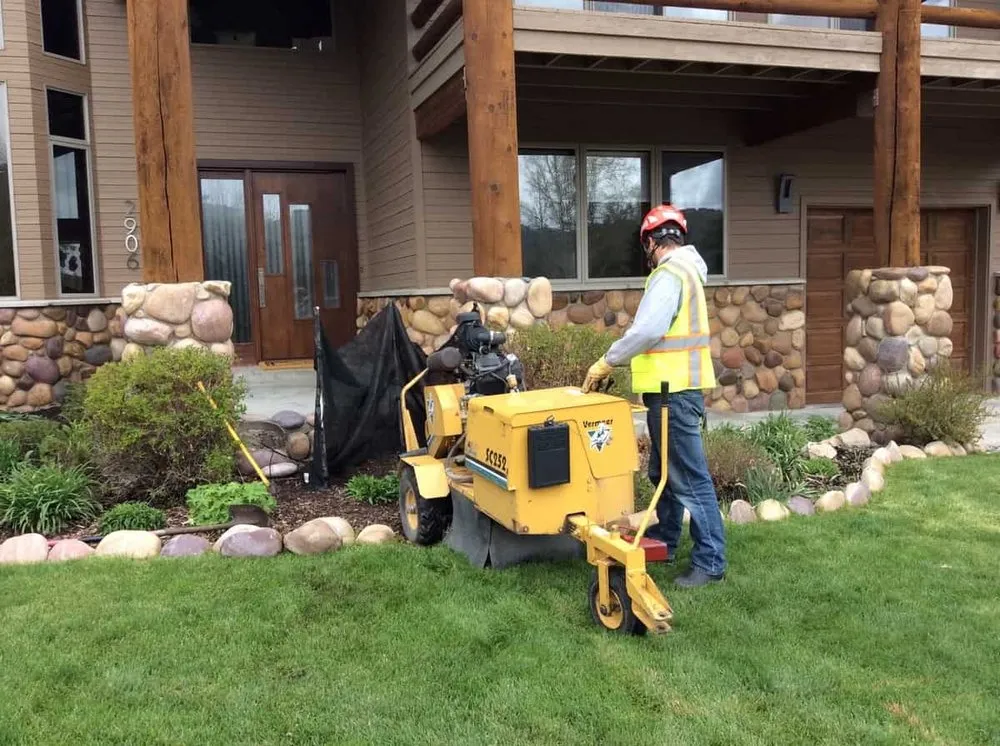Reliable lawn mowing service in Park City, UT by Low Stump Tree Service