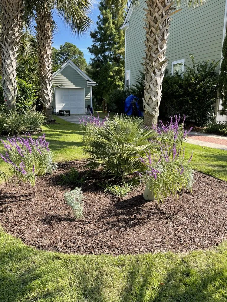 Professional landscaping services in Charleston, SC - Low Tide Lawn Services