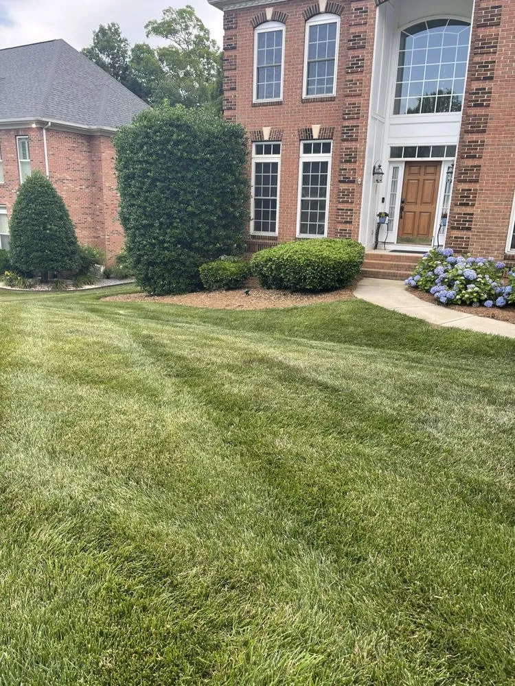 Top-rated lawn mowing service in Charleston, SC by Low Tide Lawn Services