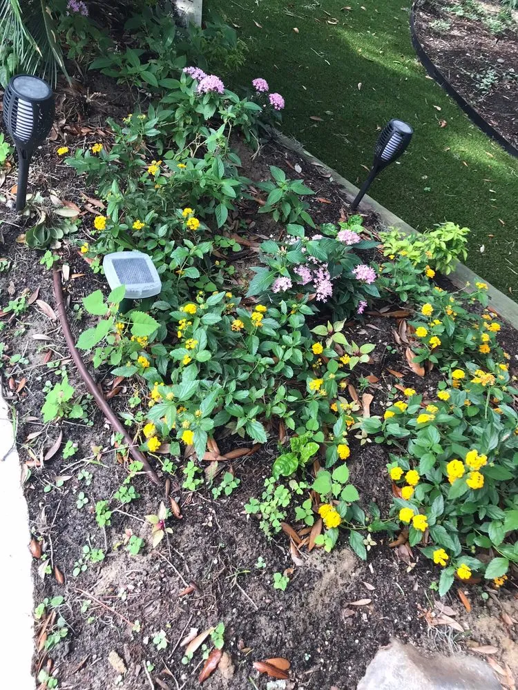 Top-rated landscape design with custom design in Beaufort, SC by Lowco Gardeners