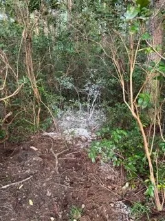 Professional landscape design near you across Beaufort, SC - Lowco Gardeners