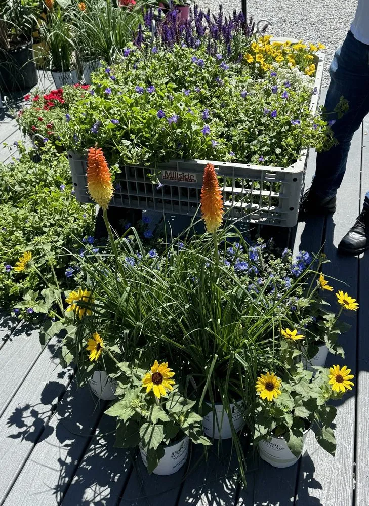 Professional landscape installation near you across Beaufort, SC - Lowco Gardeners