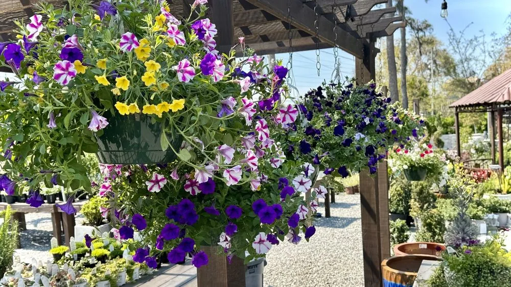 Trusted lawn mowing service in Beaufort, SC by Lowco Gardeners