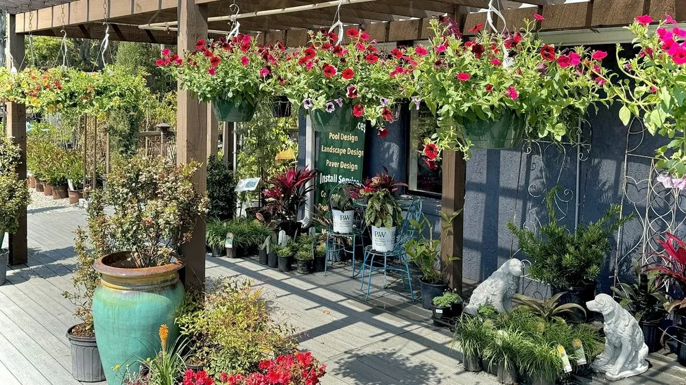 Local landscaping services in Beaufort, SC - Lowco Gardeners