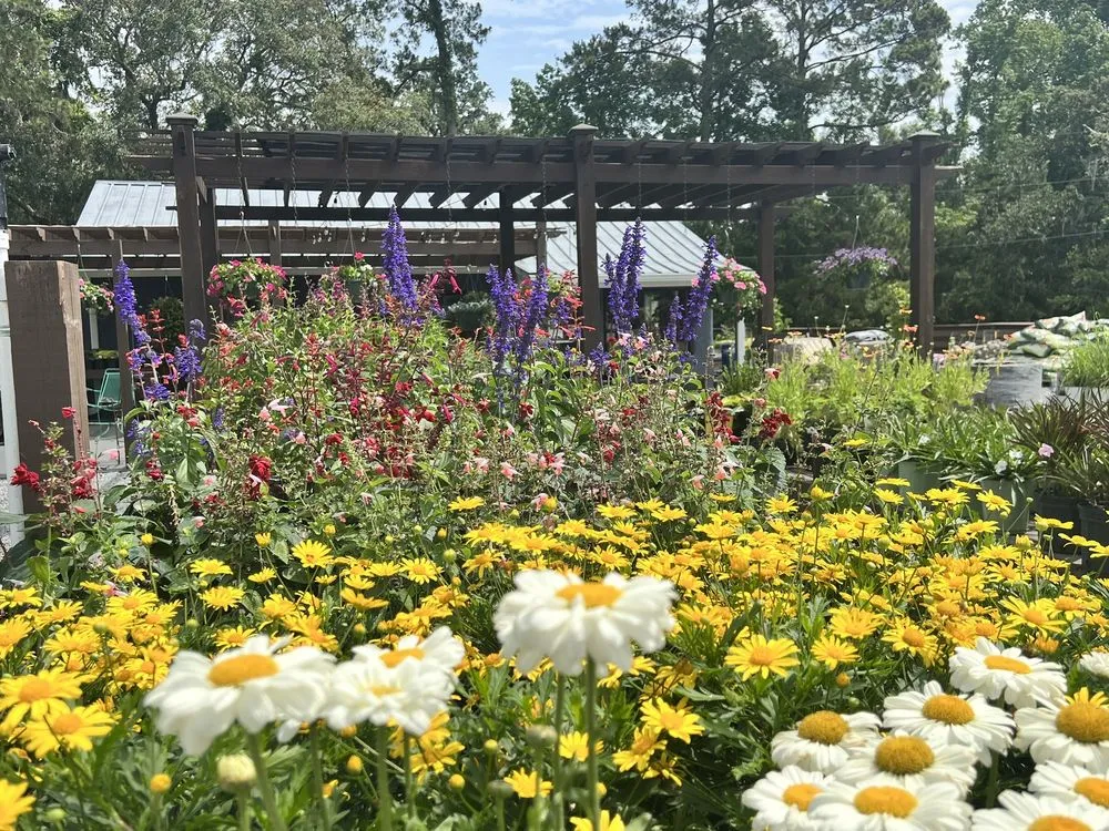 Professional lawn mowing service experts serving Beaufort, SC - Lowco Gardeners