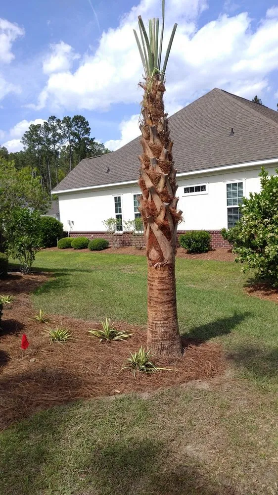 Custom lawn care service experts serving Bluffton, SC - Lowcountry Greenscapes