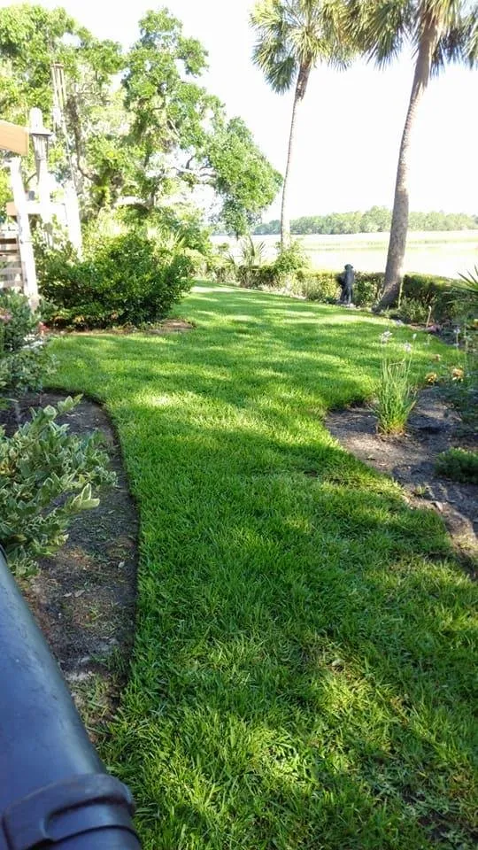 Affordable lawn care service experts serving Bluffton, SC - Lowcountry Greenscapes