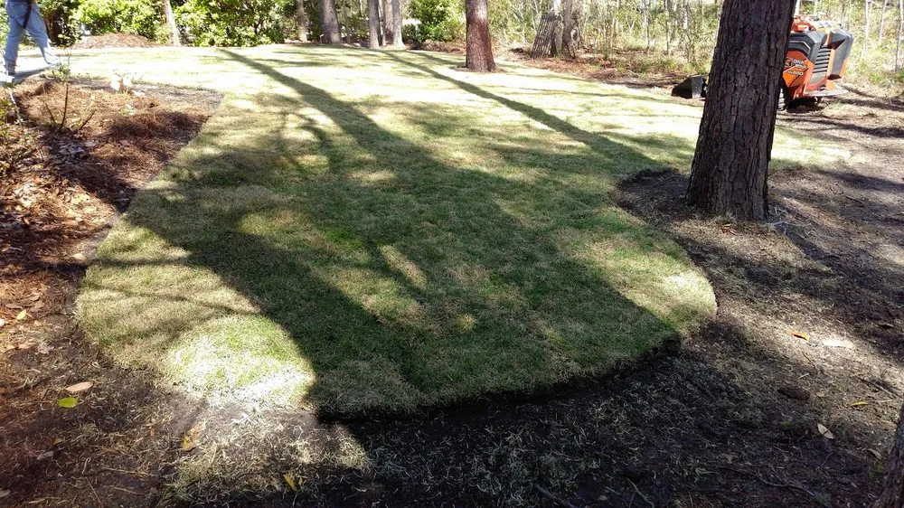 Top-rated yard cleanup service in Bluffton, SC by Lowcountry Greenscapes