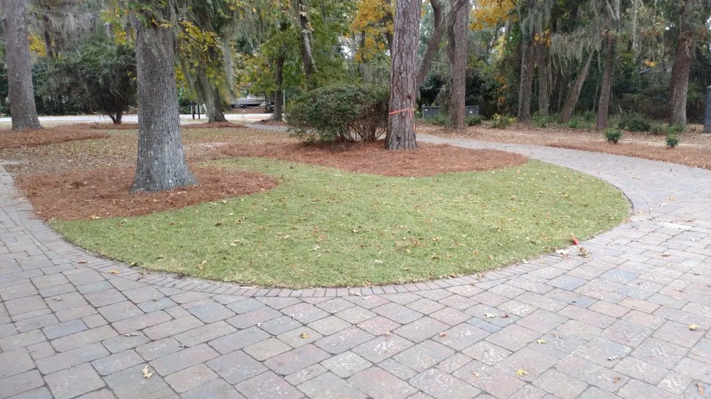 Custom garden landscaping for homes across Bluffton, SC - Lowcountry Greenscapes
